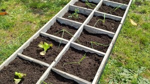 Orto preparazione